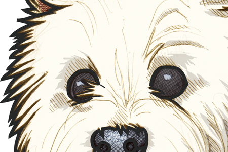 Close up detail of 451 portrait of West Highland Terrier Murphy