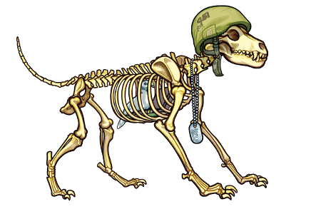 An anatomic drawing of Dog Skeleton wearing dog tags and an army helmet